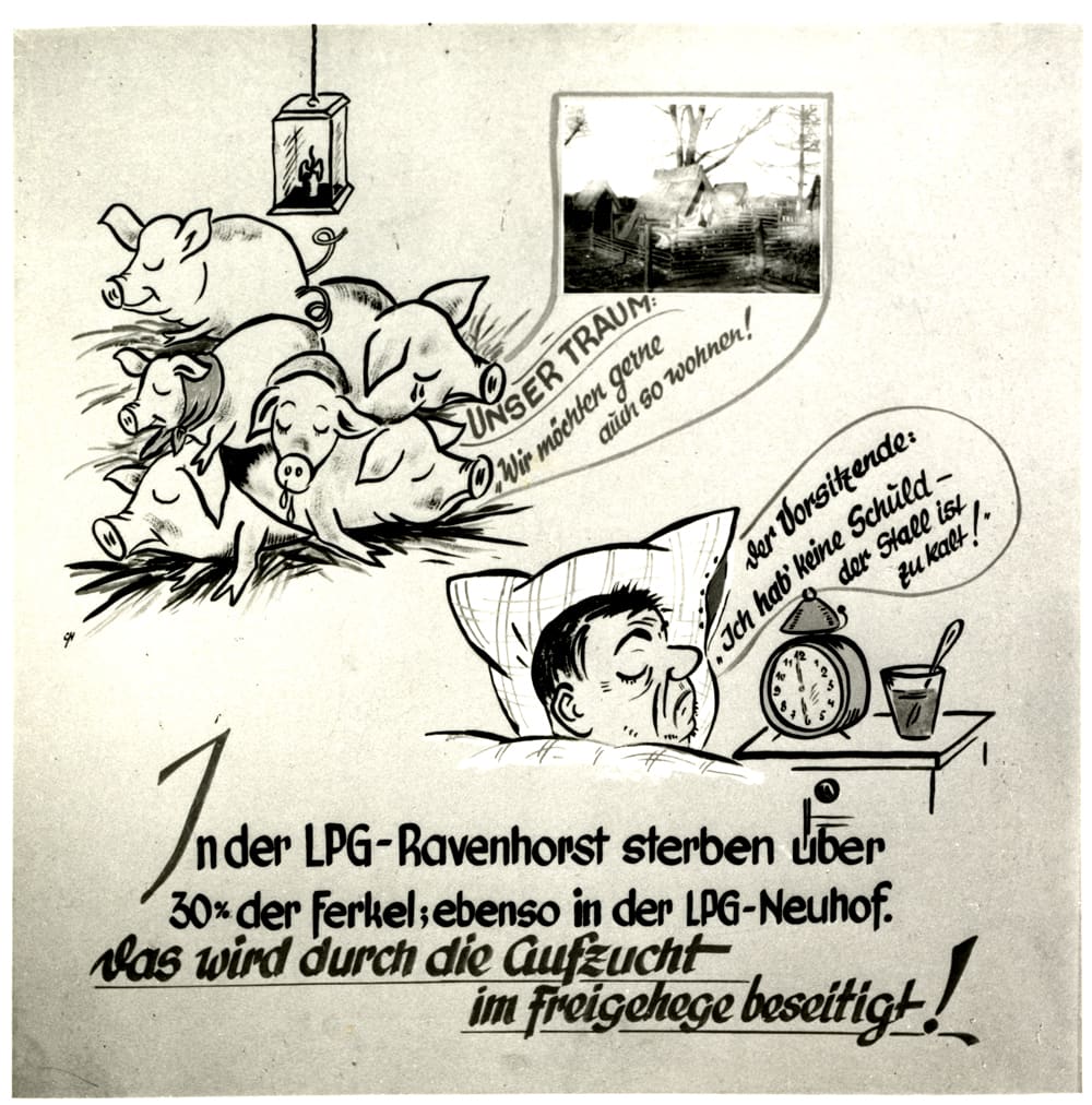 Schautafel 8 der Ausstellung zur Landwirtschaft 1958 bis 1959.